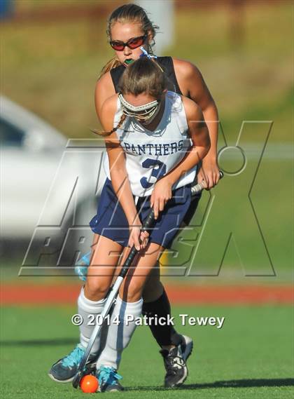 Thumbnail 3 in Brewster @ Panas photogallery.