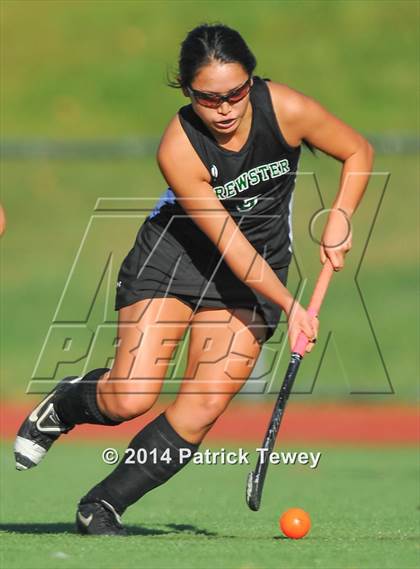 Thumbnail 3 in Brewster @ Panas photogallery.