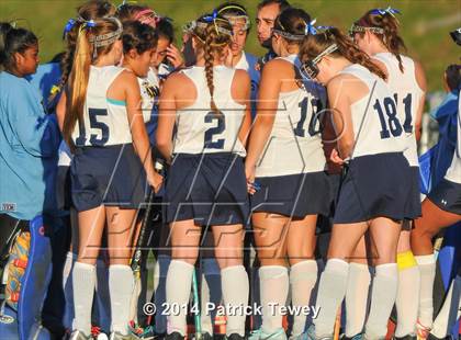 Thumbnail 1 in Brewster @ Panas photogallery.