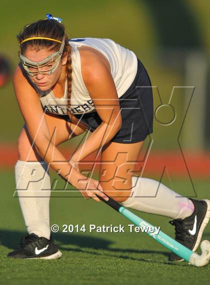 Thumbnail 1 in Brewster @ Panas photogallery.