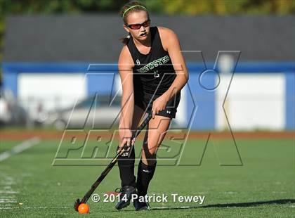 Thumbnail 1 in Brewster @ Panas photogallery.