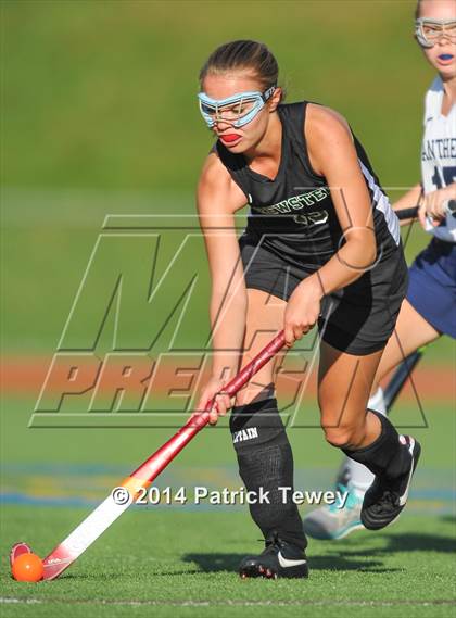 Thumbnail 2 in Brewster @ Panas photogallery.