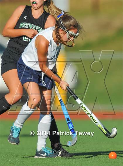 Thumbnail 1 in Brewster @ Panas photogallery.