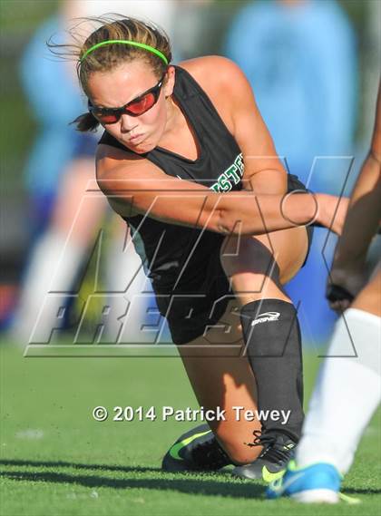 Thumbnail 1 in Brewster @ Panas photogallery.