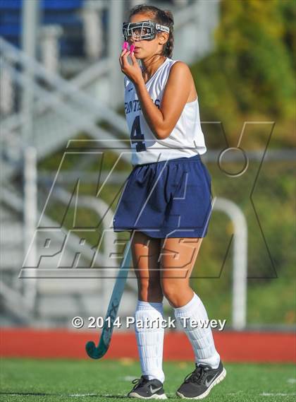 Thumbnail 3 in Brewster @ Panas photogallery.