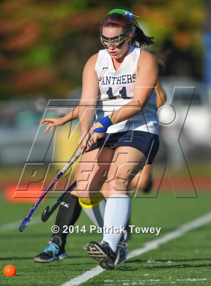 Thumbnail 1 in Brewster @ Panas photogallery.