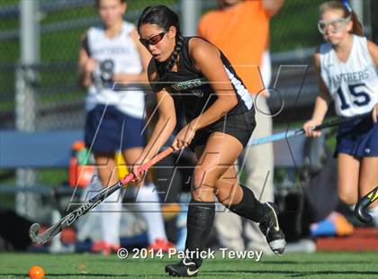 Thumbnail 3 in Brewster @ Panas photogallery.