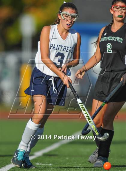 Thumbnail 1 in Brewster @ Panas photogallery.