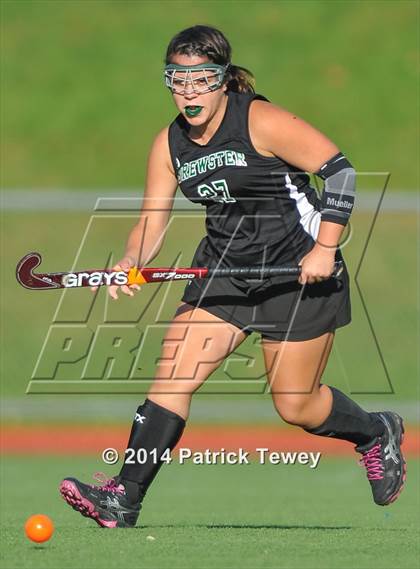 Thumbnail 1 in Brewster @ Panas photogallery.