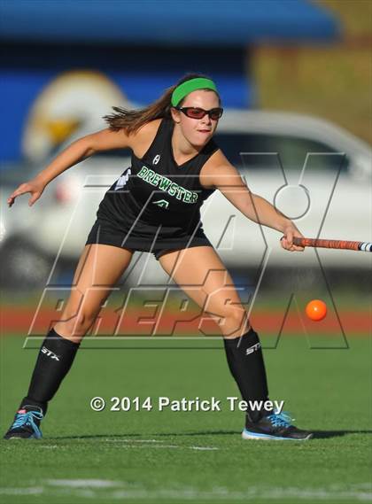 Thumbnail 3 in Brewster @ Panas photogallery.