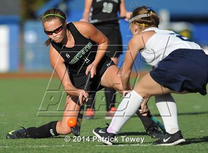 Thumbnail 2 in Brewster @ Panas photogallery.