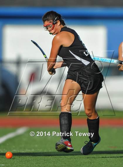 Thumbnail 1 in Brewster @ Panas photogallery.