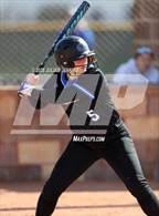 Photo from the gallery "Timberline @ Mountain View"