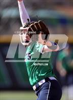 Photo from the gallery "Timberline @ Mountain View"