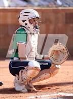 Photo from the gallery "Timberline @ Mountain View"