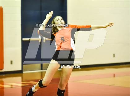 Thumbnail 2 in Horn @ Rockwall photogallery.