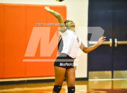 Thumbnail 2 in Horn @ Rockwall photogallery.