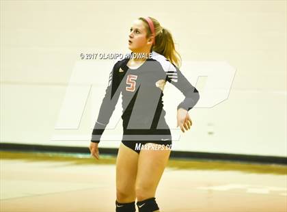 Thumbnail 2 in Horn @ Rockwall photogallery.