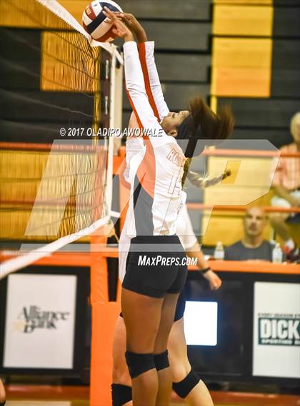 Thumbnail 2 in Horn @ Rockwall photogallery.