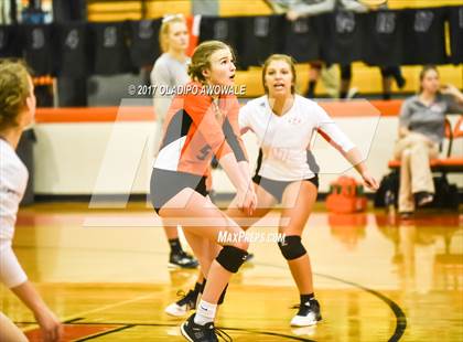 Thumbnail 1 in Horn @ Rockwall photogallery.