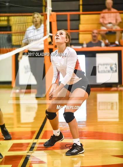 Thumbnail 2 in Horn @ Rockwall photogallery.
