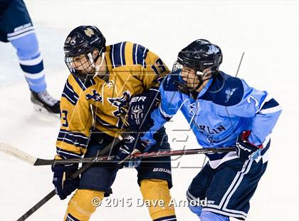Thumbnail 2 in Franklin vs Malden Catholic (MIAA Super 8 Game 1 ) photogallery.