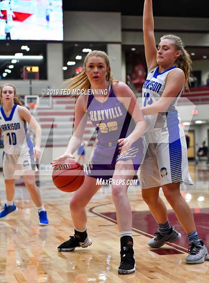 Thumbnail 3 in Harrison vs. Berryville (AAA 4A Regional Playoff) photogallery.