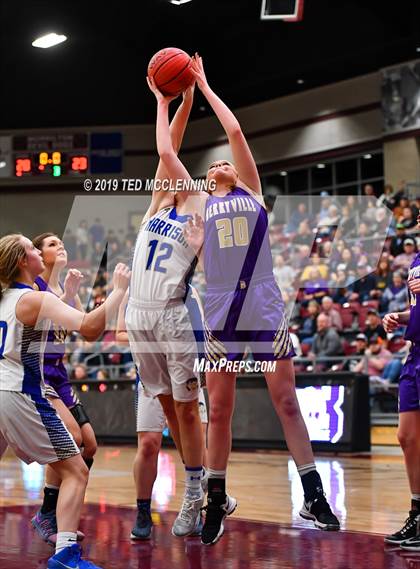 Thumbnail 1 in Harrison vs. Berryville (AAA 4A Regional Playoff) photogallery.