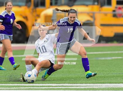 Thumbnail 2 in Warren @ Jay photogallery.