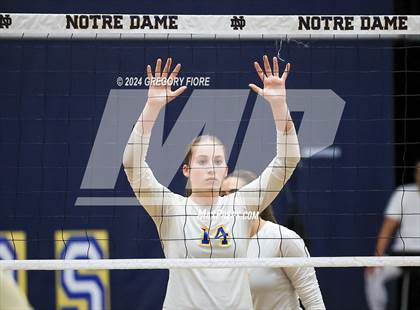 Thumbnail 1 in Louisville @ Notre Dame (SO) photogallery.