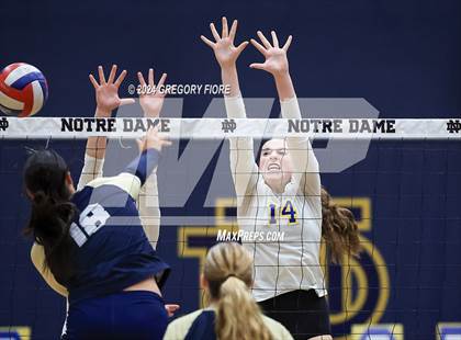 Thumbnail 3 in Louisville @ Notre Dame (SO) photogallery.