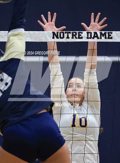 Thumbnail 3 in Louisville @ Notre Dame (SO) photogallery.