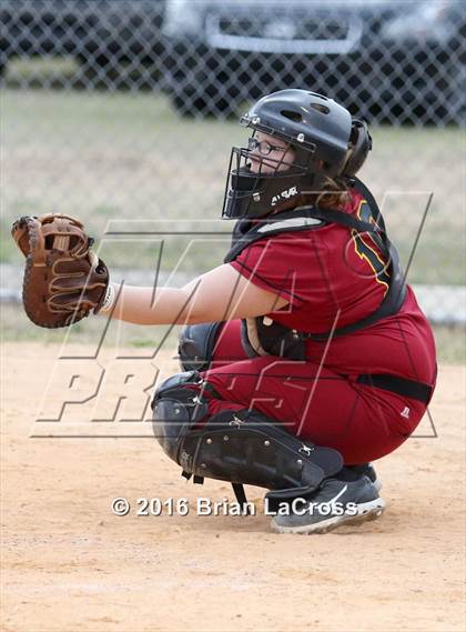 Thumbnail 1 in Ribault @ West Nassau photogallery.