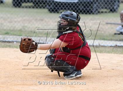 Thumbnail 2 in Ribault @ West Nassau photogallery.