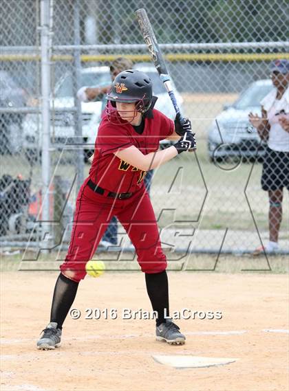 Thumbnail 1 in Ribault @ West Nassau photogallery.