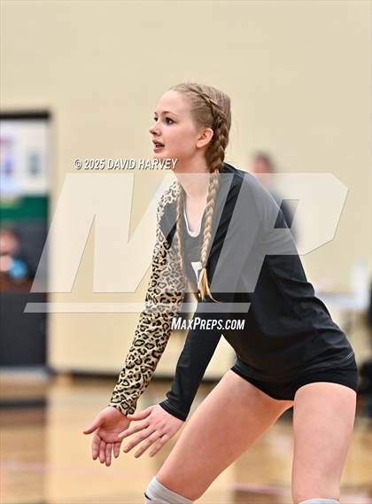 Thumbnail 1 in JV: Pomona @ D'Evelyn photogallery.