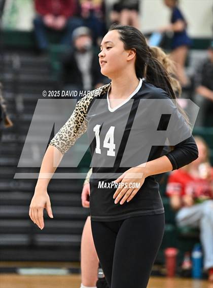 Thumbnail 3 in JV: Pomona @ D'Evelyn photogallery.