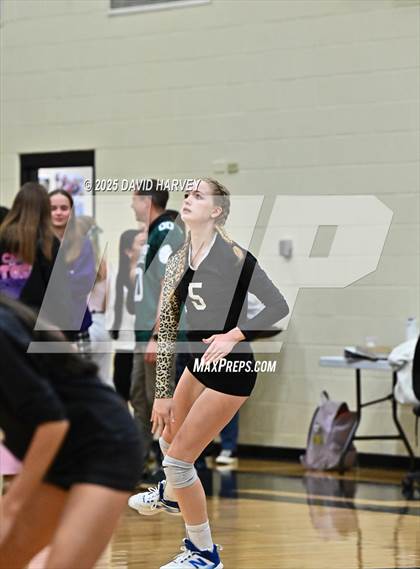 Thumbnail 1 in JV: Pomona @ D'Evelyn photogallery.