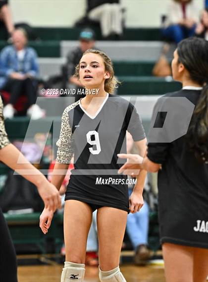 Thumbnail 3 in JV: Pomona @ D'Evelyn photogallery.