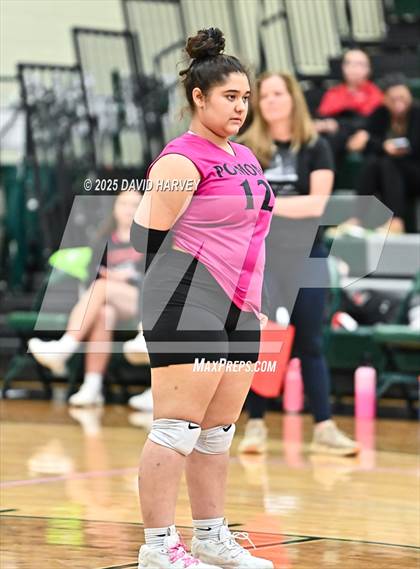 Thumbnail 1 in JV: Pomona @ D'Evelyn photogallery.