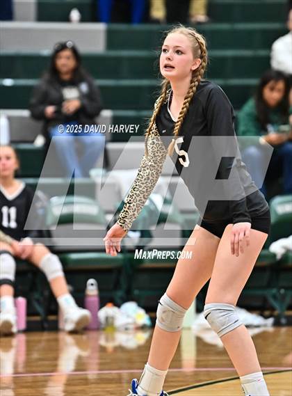 Thumbnail 3 in JV: Pomona @ D'Evelyn photogallery.