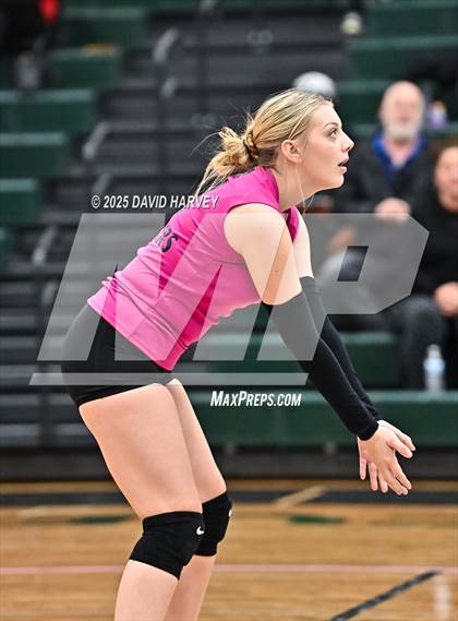 Thumbnail 3 in JV: Pomona @ D'Evelyn photogallery.