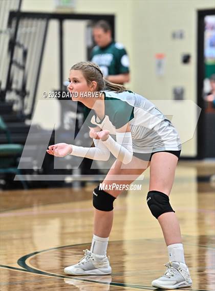 Thumbnail 1 in JV: Pomona @ D'Evelyn photogallery.