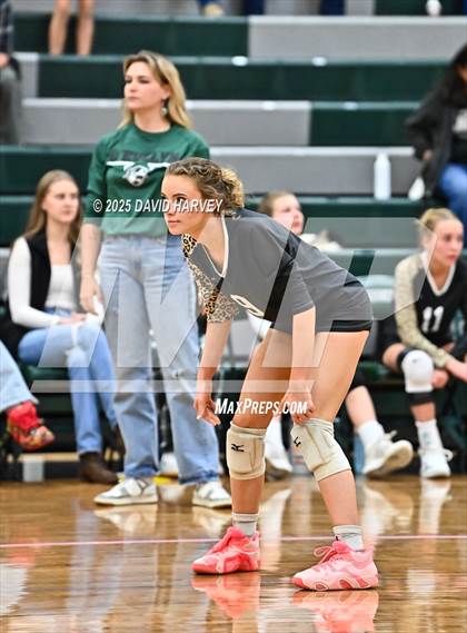 Thumbnail 2 in JV: Pomona @ D'Evelyn photogallery.