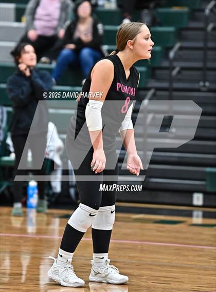 Thumbnail 2 in JV: Pomona @ D'Evelyn photogallery.