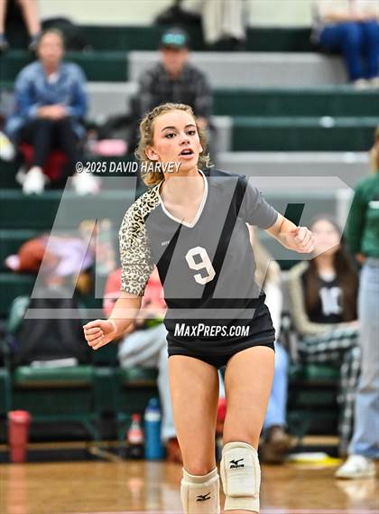 Thumbnail 2 in JV: Pomona @ D'Evelyn photogallery.