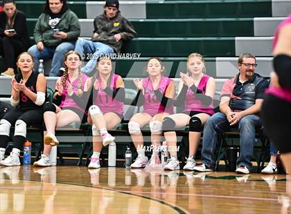 Thumbnail 3 in JV: Pomona @ D'Evelyn photogallery.