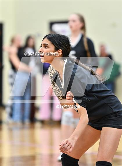 Thumbnail 3 in JV: Pomona @ D'Evelyn photogallery.