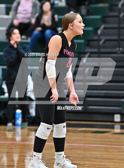 Thumbnail 3 in JV: Pomona @ D'Evelyn photogallery.