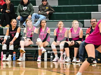 Thumbnail 2 in JV: Pomona @ D'Evelyn photogallery.